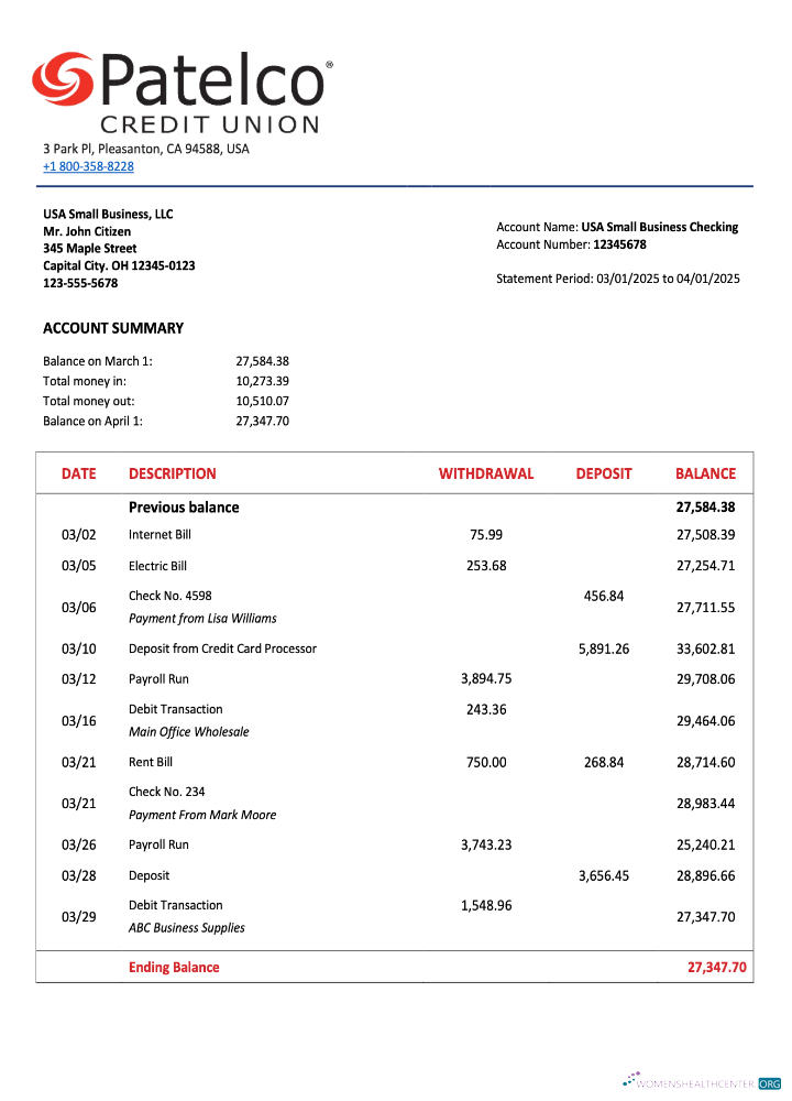 USA California Patelco Credit Union firm account statement Word and PDF template